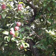 Orchard The Old Barn | 1245 Rang Double, Rougemont, QC J0L 1M0, Canada