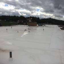 Cruickshank Flat Roofing | 719027 Hwy 6, Shallow Lake, ON N0H 2K0, Canada