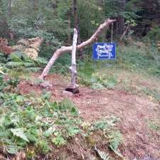 Paws N' Suds | 1491 Hyacinth Bay Rd #247, Heriot Bay, BC V0P 1H0, Canada