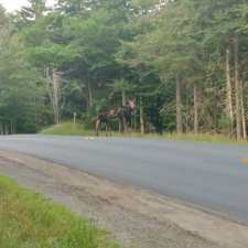 Green Acres Country Store | 223 Day Rd, Pittsburg, NH 03592, USA