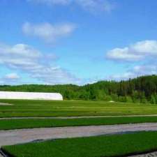 Coopérative Serres et pépinière Girardville | 3105 Rte Industrielle, Girardville, QC G0W 1R0, Canada