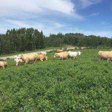 Bar G B Land and Cattle | 284068 RR 22, Crossfield, AB T0M 0S0, Canada