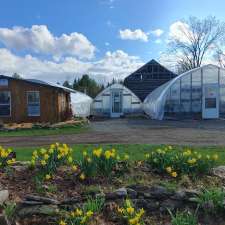 Sheila's Greenhouse | 945 Moscow Rd, Yarker, ON K0K 3N0, Canada