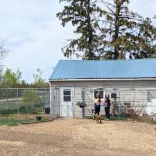 Very Important Pets Boarding Kennel & Grooming Salon | R. R. # 1, Halkirk, AB T0C 1M0, Canada