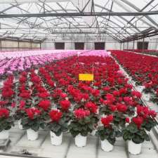 Rosedale Greenhouses Ltd | 50935 Wilbourn Rd, Rosedale, BC V0X 1X0, Canada
