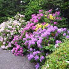 MUN Botanical Garden | 306 Mt Scio Rd, St. John's, NL A1B 4L6, Canada