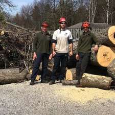 Advanced Arborist Tree Service Ltd | 11 Homestead Dr, Hampton, NB E5N 0J8, Canada