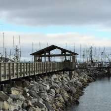 Dr. David Audia | Audia Chiropractic | 318a Duncan Ave, Courtenay, BC V9N 2M5, Canada
