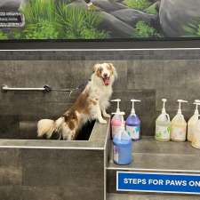 Pet Valu | 325 Main St Unit 3B, Lucan, ON N0M 2J0, Canada