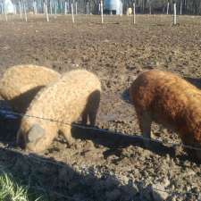 Ça porc rà porc | 532 Chem. Daigle, Saint-Joachim-de-Shefford, QC J0E 2G0, Canada