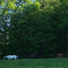 Jamesview Farm | 1823 Read Rd, Shannonville, ON K0K 3A0, Canada