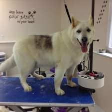 Four Muddy Paws Grooming | 1575 NS-325, Chelsea, NS B4V 7L6, Canada
