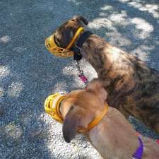 Greyhound Pets of Atlantic Canada | 343 W Petpeswick Rd, West Petpeswick, NS B0J 2L0, Canada