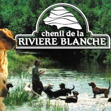 Chenil de la Rivière Blanche Inc | 140 Ch Forsight, Saint-Didace, QC J0K 2G0, Canada