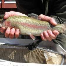 Whispering Pines Fish Farm | 11829 Matteson Corners Rd, Holland, NY 14080, USA