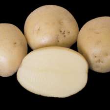 Real Potatoes Ltd | 614 Capital Dr, Cornwall, PE C0A 1H8, Canada
