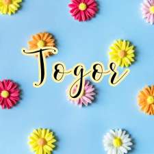 Togor | 221 Lady Russell St, Moncton, NB E1E 0C5, Canada