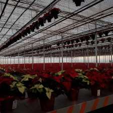 Forest Glen Greenhouse | 664 Brentwood Rd, Brookfield, NS B0N 1C0, Canada
