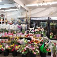 Sunny Express | 885 Hamilton Rd, London, ON N5Z 1V8, Canada