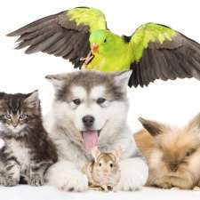 West London Pet Hospital | 760 Hyde Park Rd, London, ON N6H 5W9, Canada