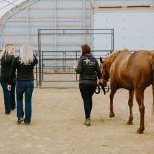 Synergy Equine Veterinary Services | 64020 242 Ave W, Alberta T1S 4C2, Canada