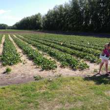 Berry Hill Farm | Rd 8 N, Altona, MB R0G 0B0, Canada