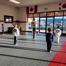 Top Level Taekwondo & Martial Arts Academy Cambridge | 1655 Bishop St N Unit 101, 102, Cambridge, ON N1R 8B5, Canada