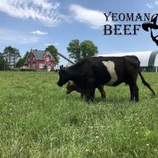 Yeoman Beef Farm | 718 Station Rd, Alfred, ON K0B 1A0, Canada