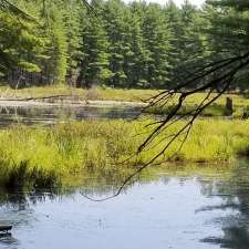 Hardy Lake Trail Head | Muskoka District Road 169, Gravenhurst, ON P1P 1R2, Canada