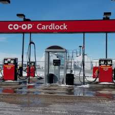 Co-op Cardlock | 113 Dawson Rd, Ste. Anne, MB R5H 1B6, Canada