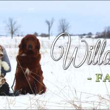 Willow Lane Farms | Brookview Rd, Lindsay, ON K9V 4R5, Canada