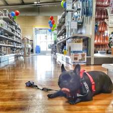 Ren's Pets Oakville | 4002 Trafalgar Rd, Oakville, ON L6H 7B7, Canada