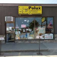 Polux | 413 Rue de St Jovite, Mont-Tremblant, QC J8E 0R6, Canada