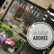 La Fleur Adorée | 1317 Av. Maguire, Québec, QC G1T 1K6, Canada