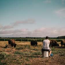 Northwind Bison | 8591 Concession Rd 8, Moorefield, ON N0G 2K0, Canada