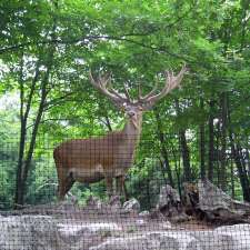 Deer Fence Canada Inc. | 2470 Dunrobin Rd, Dunrobin, ON K0A 1T0, Canada