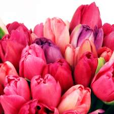 Mark Memorial Community Funeral Home | 2024 Industrial Road 2, Cranbrook, BC V1C 6R2, Canada