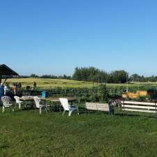 Green and Gold Community Garden | 118 St NW, Edmonton, AB T6H 2V8, Canada