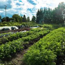 Artisan Maraîcher | 431 A Chemin Corey, Ayer's Cliff, QC J0B 1C0, Canada