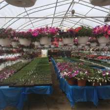Pea Patch Gardens and Greenhouse | 272159 338th Ave S, Calgary, AB T0L 0J0, Canada