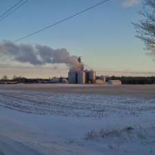 holtz grain ltd | 11 Concession arthur township, Moorefield, ON N0G 2K0, Canada