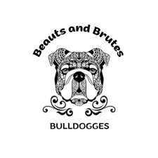 Beauts and Brutes Bulldogges | 14 Sandal Wood Dr, Ballinafad, ON N0B 1H0, Canada