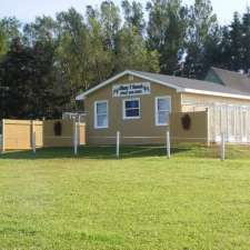 Albany Y Kennels | 153 PE-1A, Albany, PE C0B 1A0, Canada