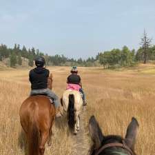 Inspire horsemanship | 9611 BC-97C, Merritt, BC V1K 1M6, Canada