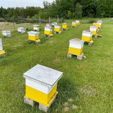 Graziotto's Bee All | 18601 Cedardale Rd, Nestleton Station, ON L0B 1L0, Canada