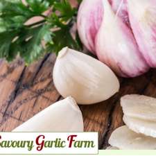 Savoury Garlic Farm | 866 Old Highway Rd B1175, Princeton, BC V0X 1W0, Canada