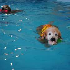 Coastal Canine Hydrotherapy & Fitness Centre | 1600 Benzon Crescent, Errington, BC V0R 1V0, Canada