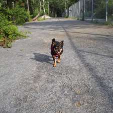 Paws Off Leash Inc. | 957 Lucasville Rd, Lucasville, NS B4B 1R6, Canada