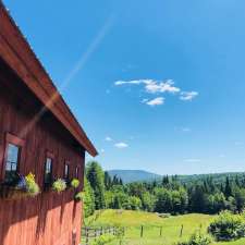 Wooly Buggah Barn | 182 Center Pond Rd, West Burke, VT 05871, USA