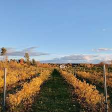 Le Vignoble Com'Autrefois | 737 Rang St François, Notre-Dame-de-Lourdes, QC G0S 1T0, Canada